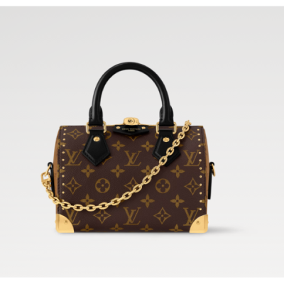 LOUIS VUITTON Speedy Trunk 20 M13146