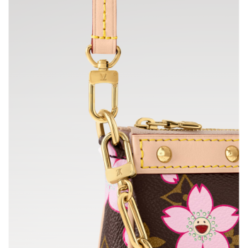 LOUIS VUITTON MURAKAMI LV × TM POCHETTE ACCESSORY M13666 (22*13*4cm)