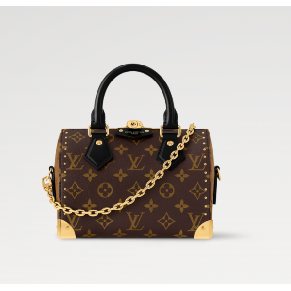 LOUIS VUITTON Speedy Trunk 20 M13146