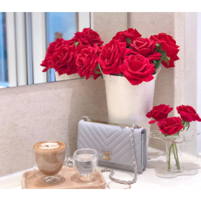 Ch@nel Trendy Woc-19CM