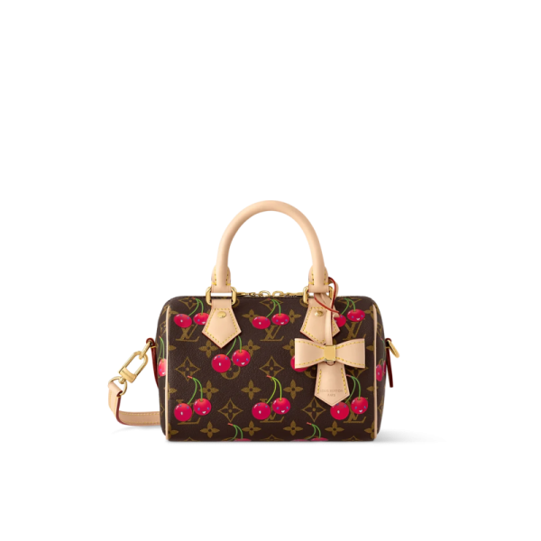 Louis vuitton LV x TM Speedy Bandoulière 20 (13.5 x 12 x 20.5)