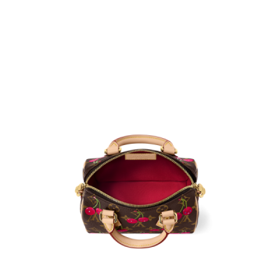 Louis vuitton LV x TM Speedy Bandoulière 20 (13.5 x 12 x 20.5)