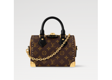 LOUIS VUITTON Speedy Trunk 20 M13146