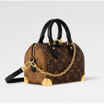 LOUIS VUITTON Speedy Trunk 20 M13146