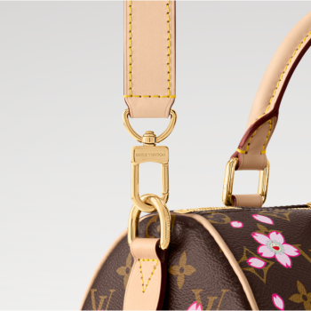 LOUIS VUITTON MURAKAMI LV X TM SPEEDY BANDOULIÈRE 25 M14174 (25*19*15cm)